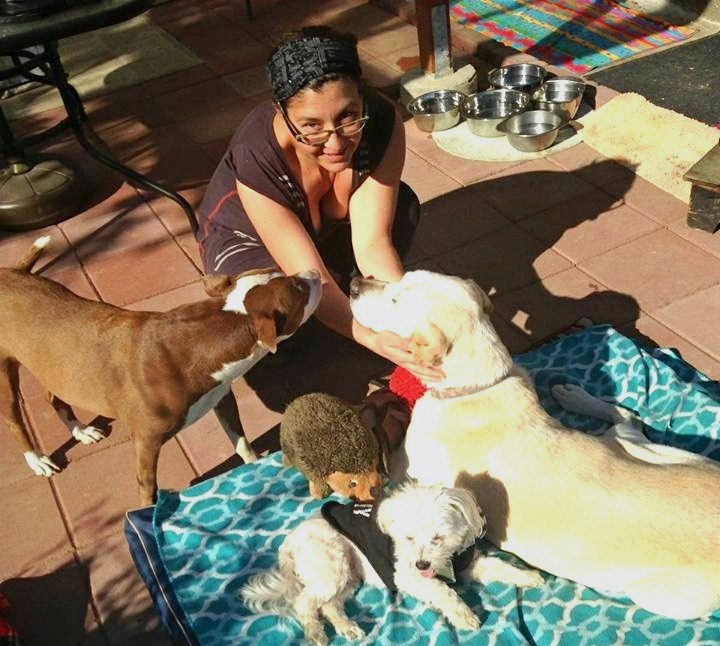 trainer elisa rivera and dogs