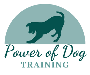 Power of Dog Training