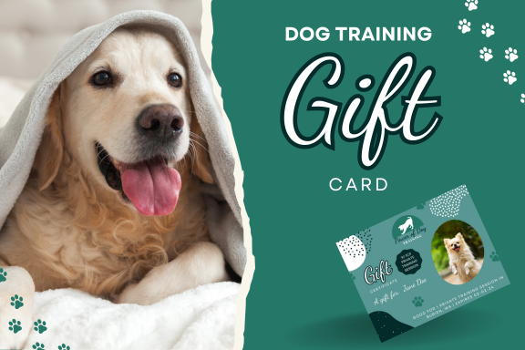 Seattle Dog Training Gift Cards